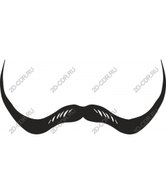  Classic mustache