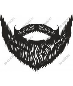  Blackbeard