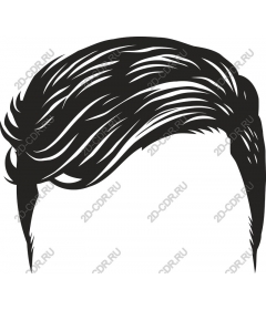  Modern black and white hairstyle