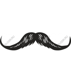  Classic mustache