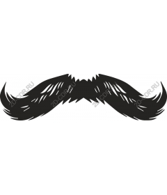  Причудливые классические усы