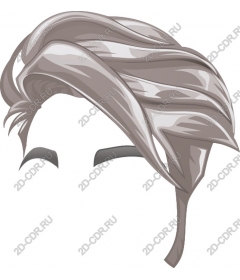  Stylish silver hair