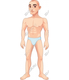  Cartoon male figure - Athletic