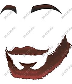 The beard is a Stylish mustache and beard