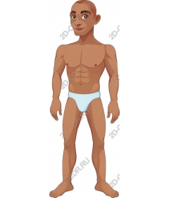  Stylized muscular male character