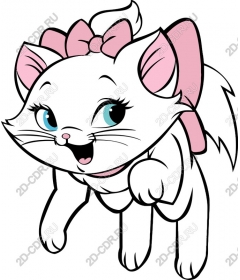  Adorable white kitten