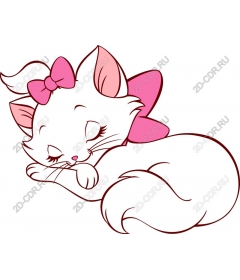  Adorable sleeping cat