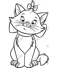 Playful cat