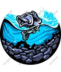  Bouncing fish-bass