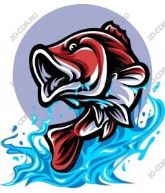  Bright fish