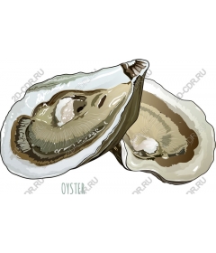 Fresh oyster