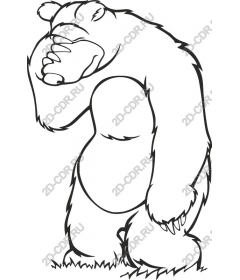 Playful bear the shame