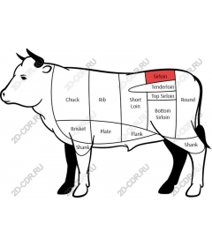 Anatomy of beef cuts