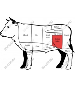 Anatomy of beef cuts