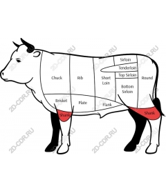 Anatomy of carcass beef