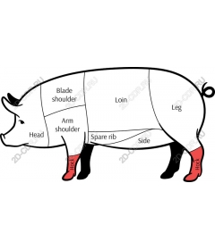  Educational pork cuts
