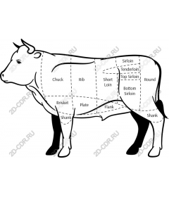 Подробные разделки говядины