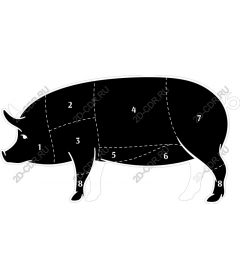 Anatomy of the pig - table pieces of meat