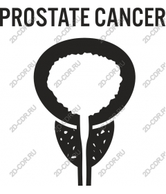  Awareness about prostate cancer