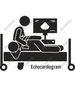  Echocardiogram medical