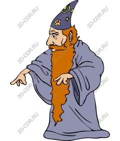  Fancy wizard