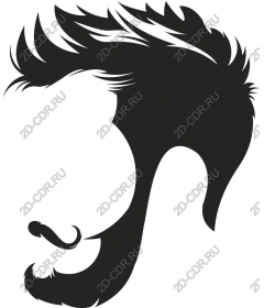  A stylish hairstyles