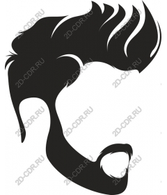  Stylish male head with beard