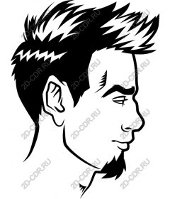  Stylish portrait of a young man