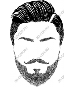  Stylish male face with beard