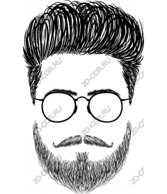 The bearded gentleman