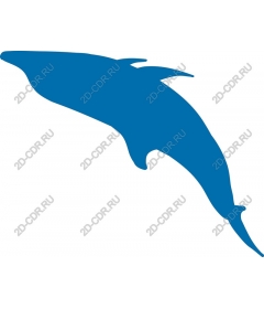 Dolphin in blue
