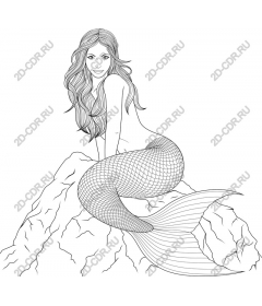  Elegant Mermaid