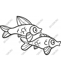  Joyful water-Duo: playful fish