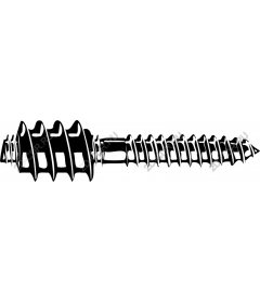 Screw