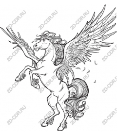 Majestic Pegasus