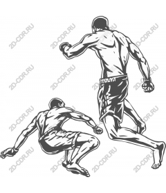 Dynamics of fighters martial arts