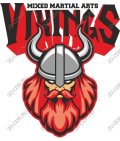 Cruel job of Viking MMA