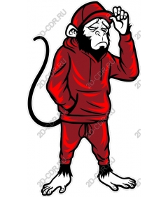Urban cool monkey