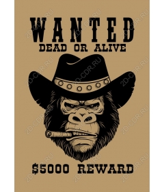  Wanted gorilla
