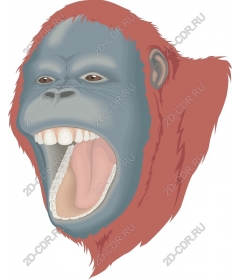 Roaring gorilla head