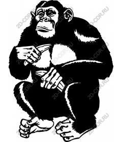  Tricky chimpanzee