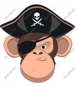 Pirate adventure monkey