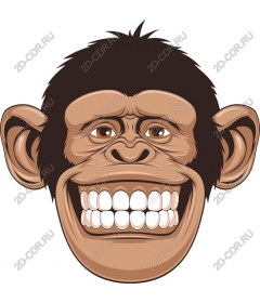 Funny face monkey