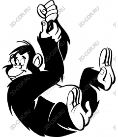 Playful swinging monkey