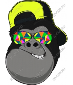  Cool gorilla