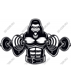 Muscular gorilla