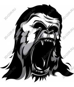  Roaring gorilla