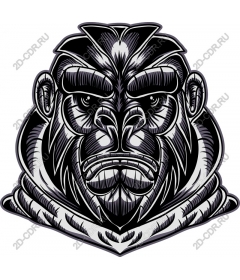 Intense head-gorilla