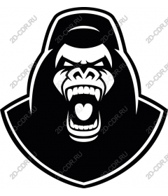  Ferocious roaring gorilla