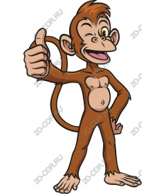 Funny cartoon monkey